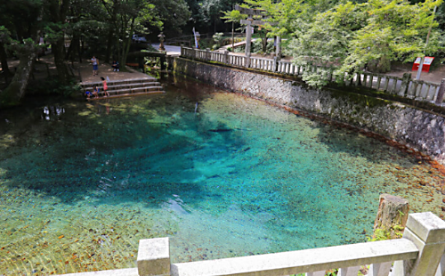 別府弁天池